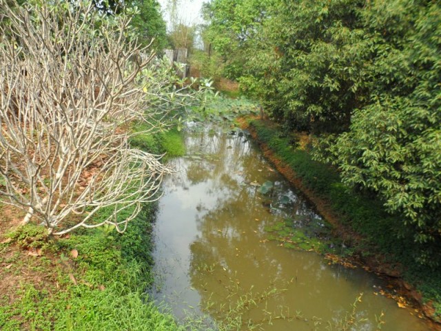 Випассана Таиланд