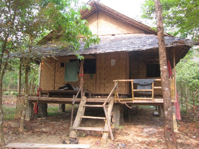 бамбуковое общежитие