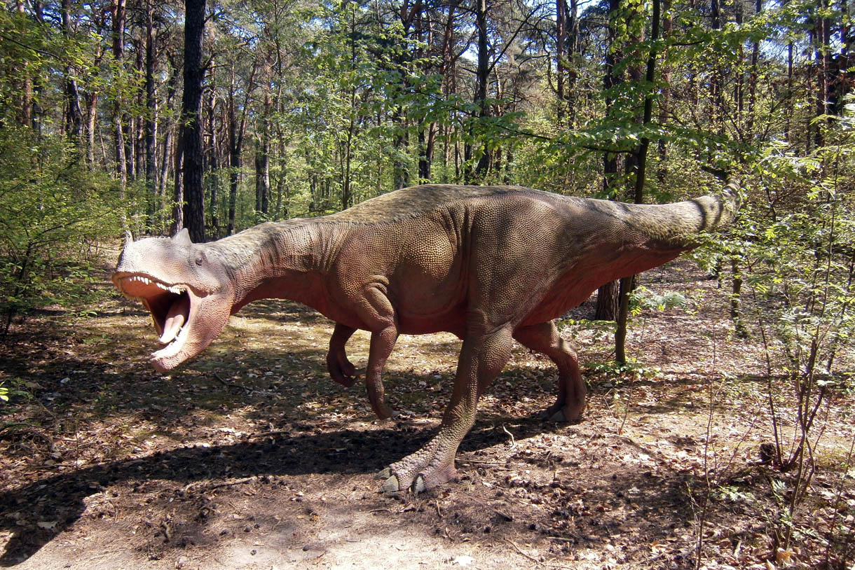 Парк динозавров Солец, Польша