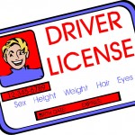 Как получить водительские права в США