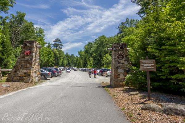 Dupon State Forest