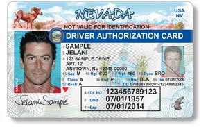  водительское удостоверение в США